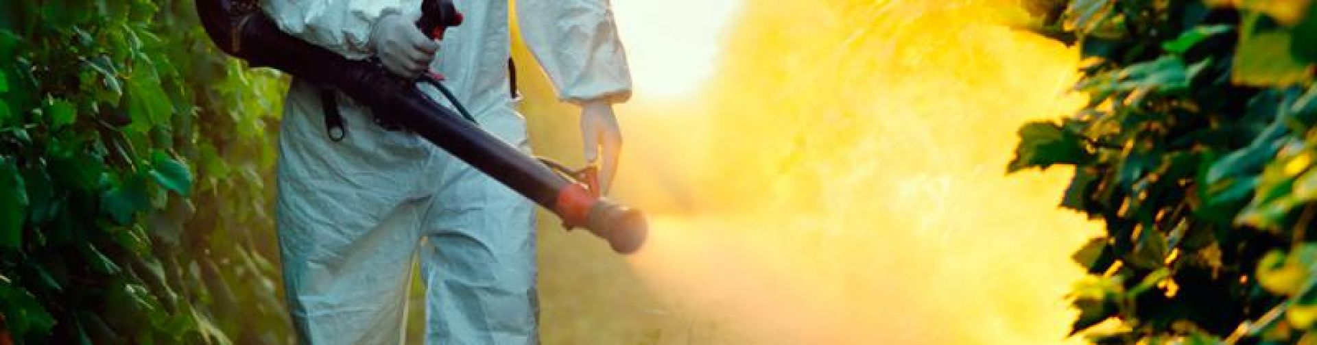 Desinsetização e Controle de Insetos