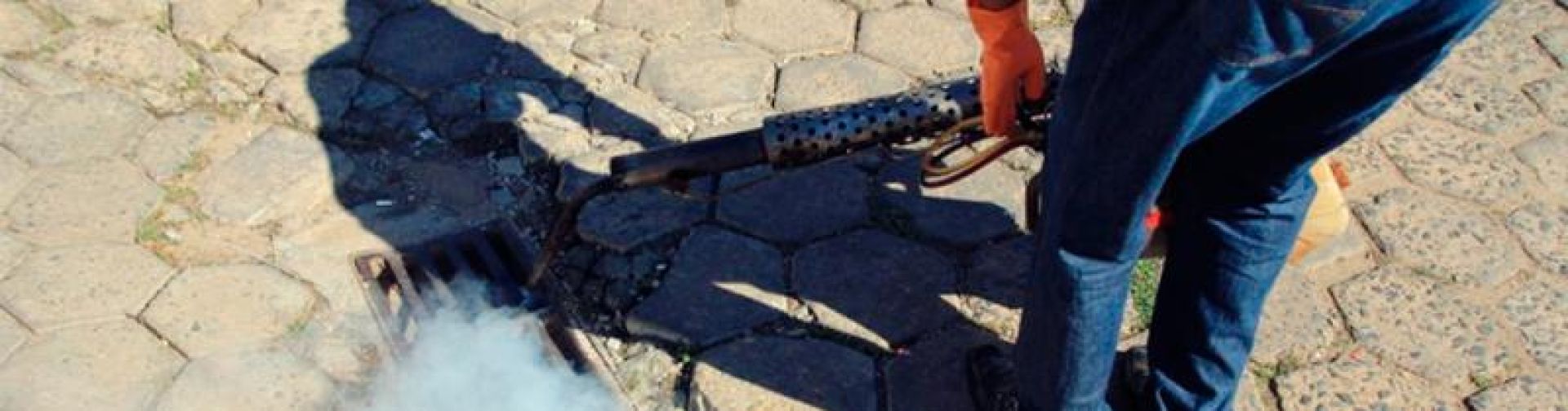 Descupinização e Controle de Cupins